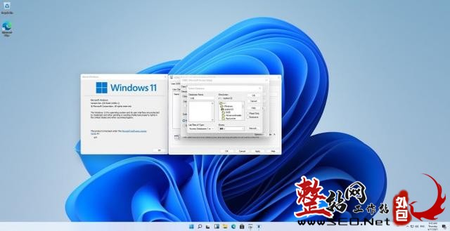 不要惊讶：Windows 11中仍有Windows 3.1组件